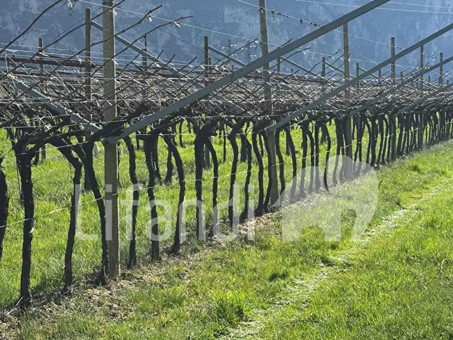 Immagine 16 di Terreno in vendita  a Salorno .Salurn.