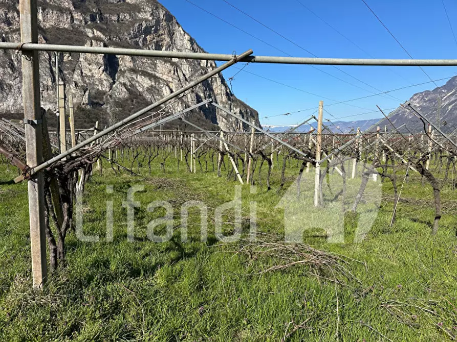 Immagine 17 di Terreno in vendita  a Salorno .Salurn.