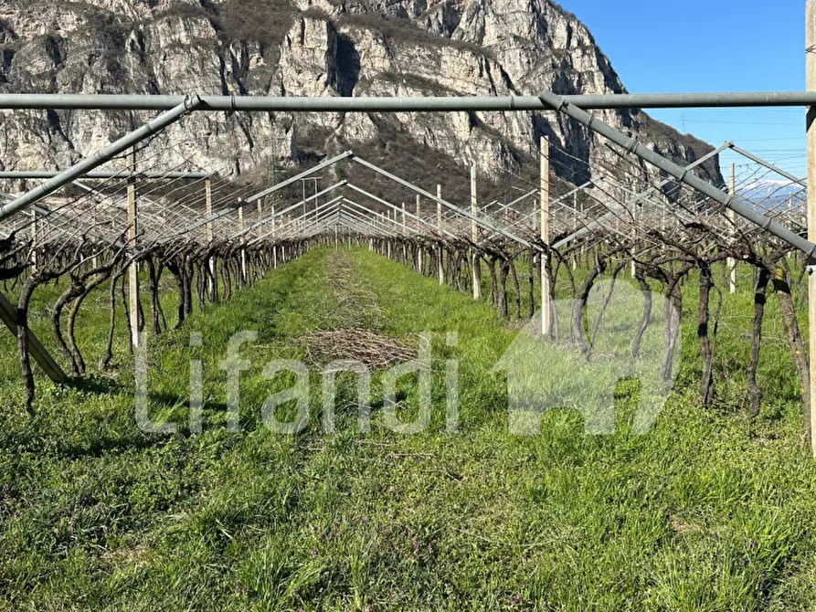 Immagine 18 di Terreno in vendita  a Salorno .Salurn.