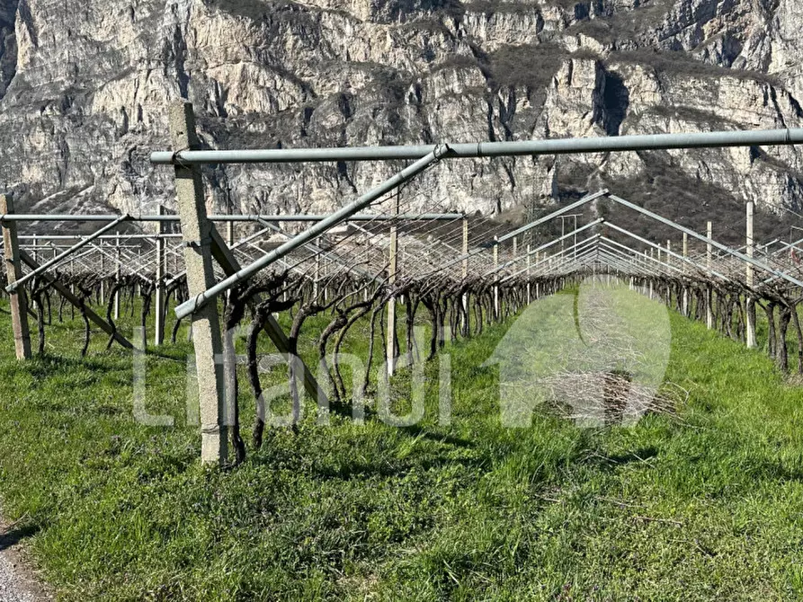 Immagine 19 di Terreno in vendita  a Salorno .Salurn.