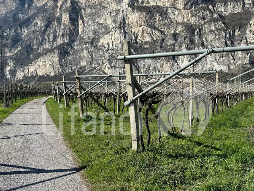 Immagine 20 di Terreno in vendita  a Salorno .Salurn.