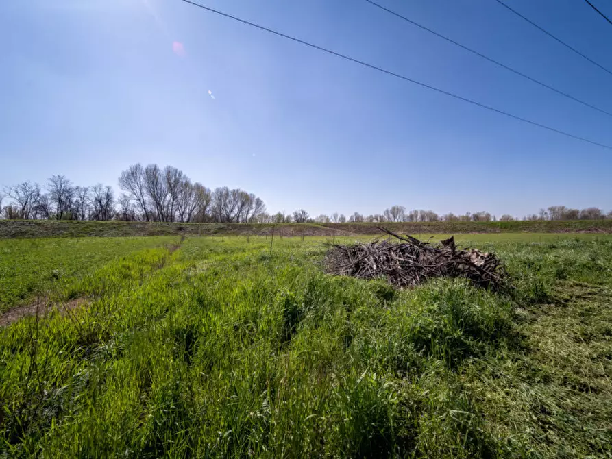 Immagine 42 di Attività commerciale in vendita  in Strada Colombarola n.101 a Parma