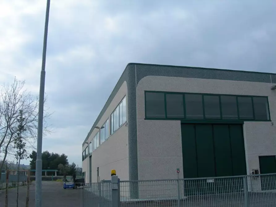 Immagine 8 di Magazzino in vendita  in Via Massimo d'Antona a Chiaravalle