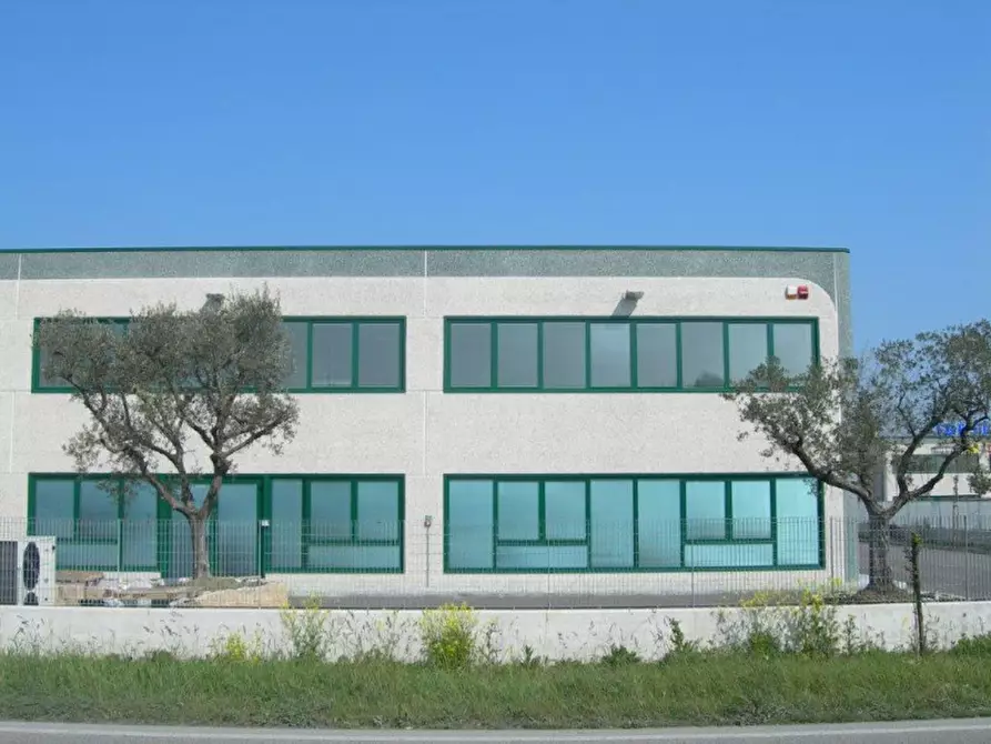 Immagine 9 di Magazzino in vendita  in Via Massimo d'Antona a Chiaravalle