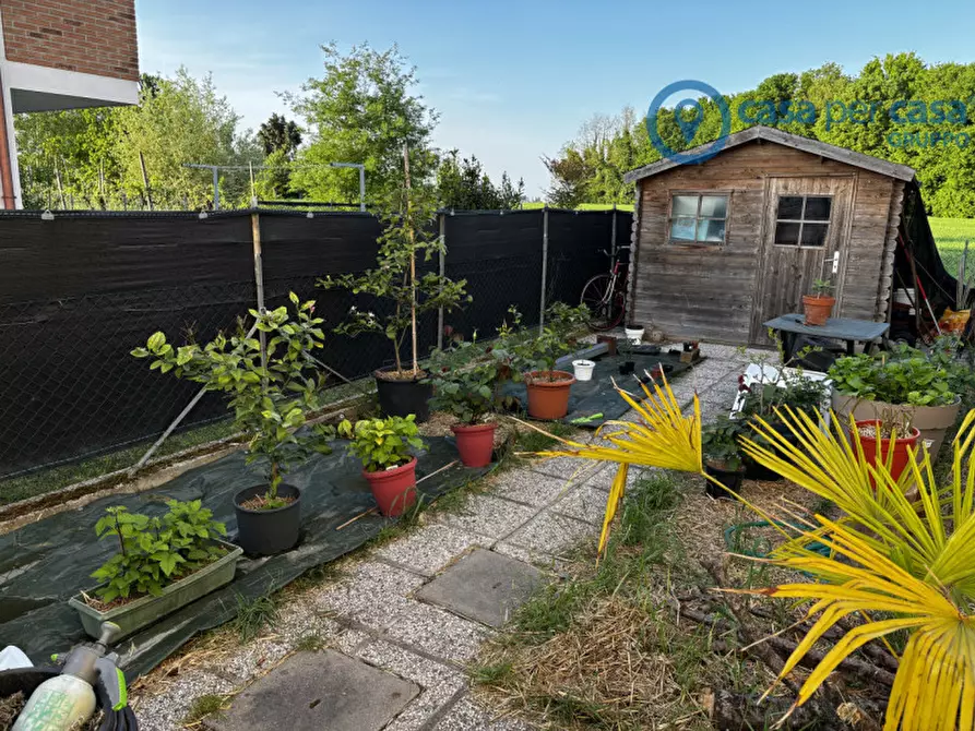 Immagine 11 di Appartamento in vendita  a Polesella