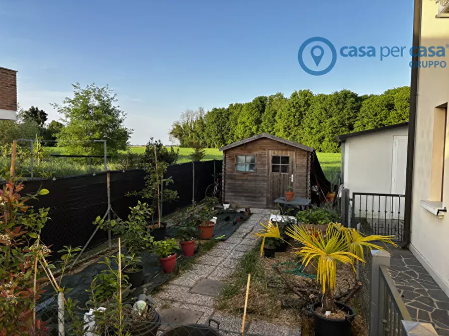 Immagine 12 di Appartamento in vendita  a Polesella