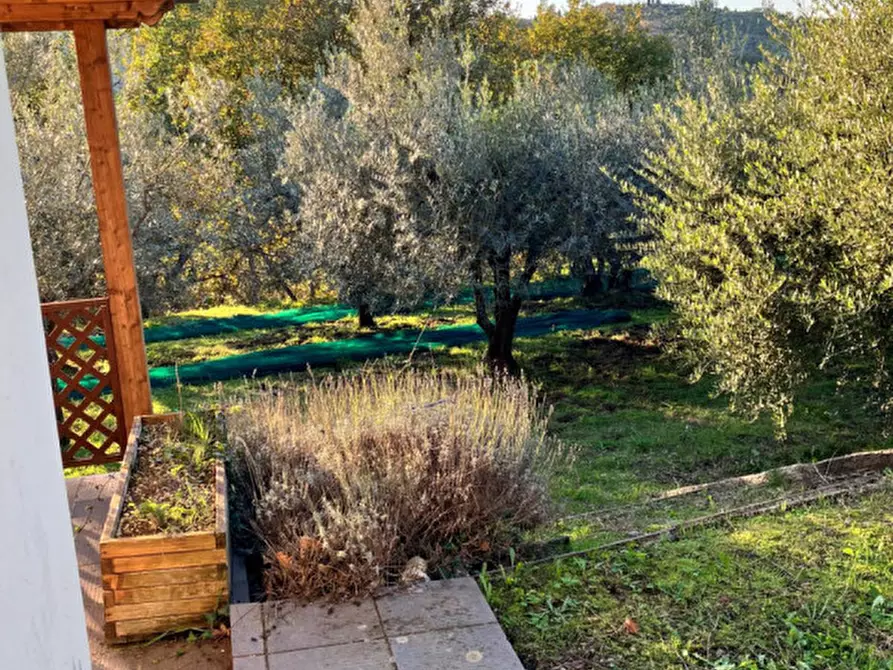 Immagine 12 di Magazzino in vendita  in san marco a Montevarchi