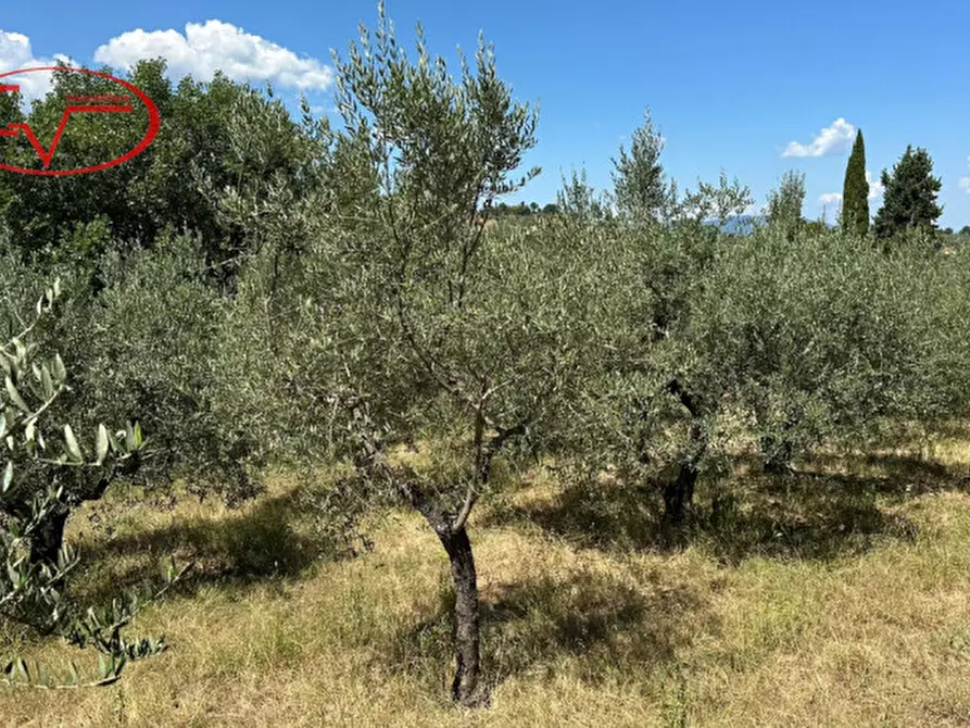 Immagine 14 di Magazzino in vendita  in san marco a Montevarchi