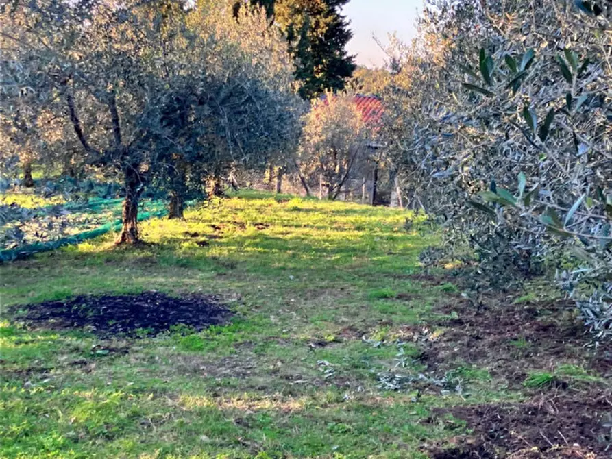 Immagine 15 di Magazzino in vendita  in san marco a Montevarchi