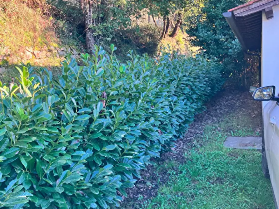 Immagine 17 di Magazzino in vendita  in san marco a Montevarchi