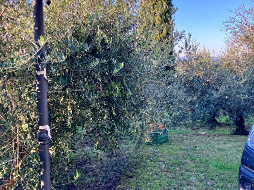 Immagine 18 di Magazzino in vendita  in san marco a Montevarchi