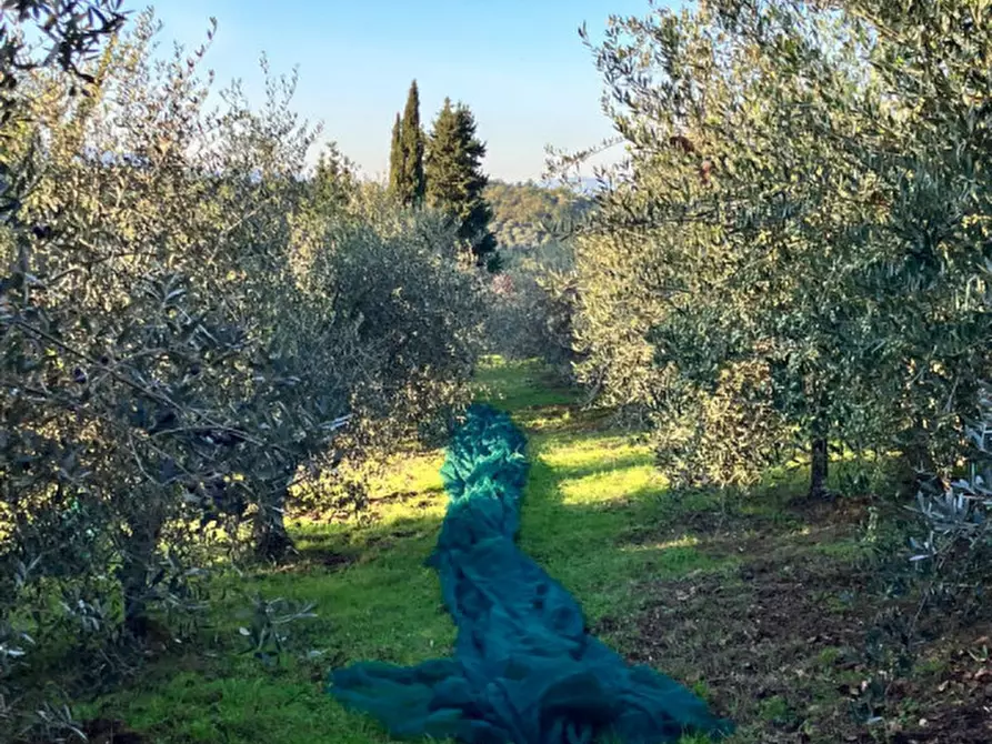 Immagine 19 di Magazzino in vendita  in san marco a Montevarchi