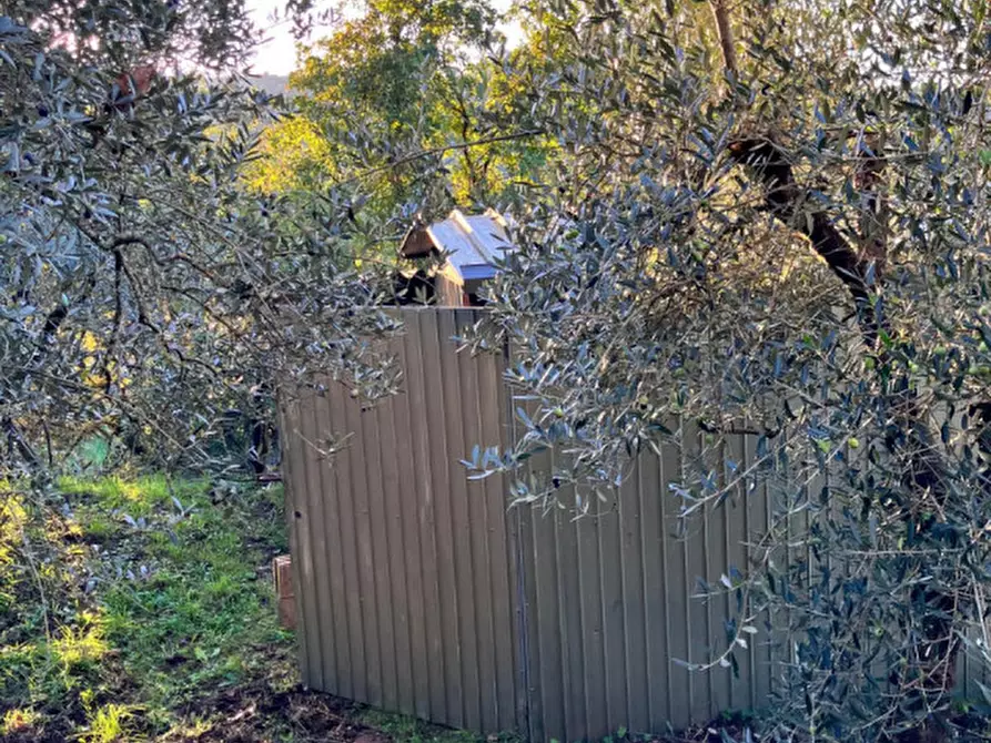 Immagine 20 di Magazzino in vendita  in san marco a Montevarchi