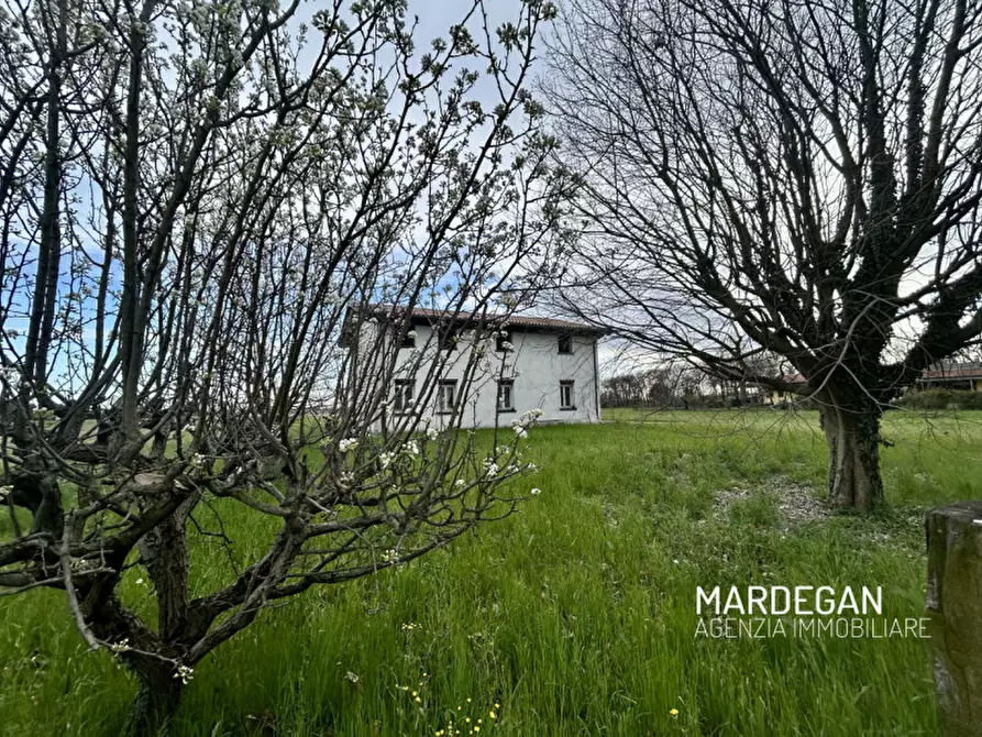 Immagine 2 di Rustico / casale in vendita  in via monte grappa a San Martino Di Lupari