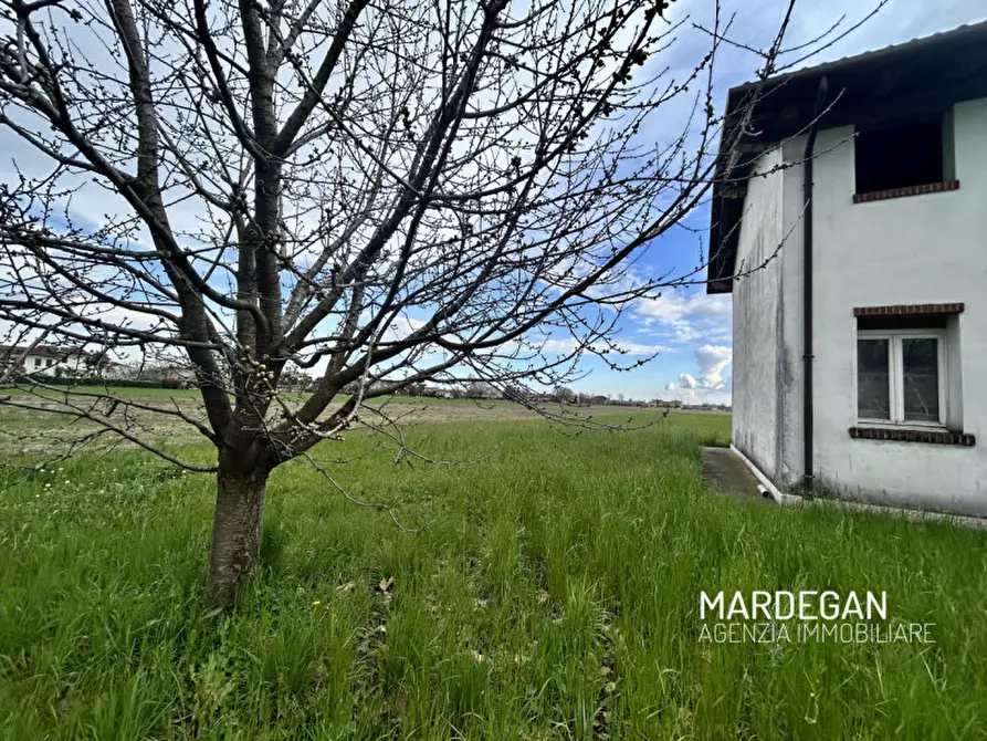 Immagine 5 di Rustico / casale in vendita  in via monte grappa a San Martino Di Lupari
