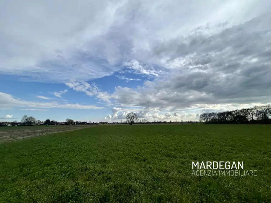 Immagine 9 di Rustico / casale in vendita  in via monte grappa a San Martino Di Lupari