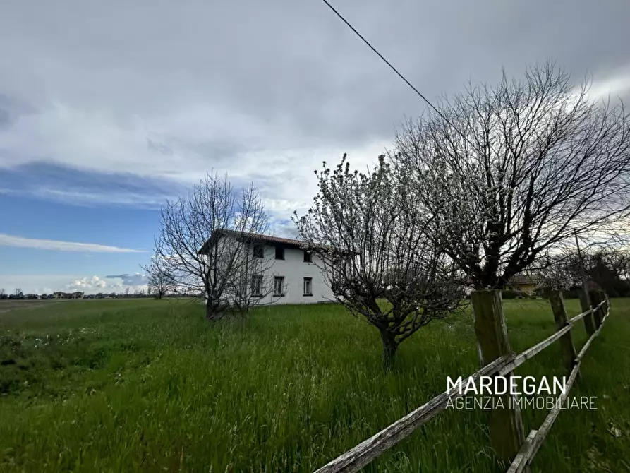 Immagine 13 di Rustico / casale in vendita  in via monte grappa a San Martino Di Lupari
