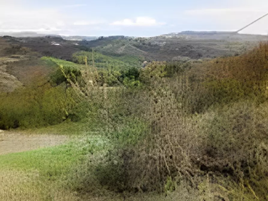 Immagine 7 di Rustico / casale in vendita  in Via Monte Avorio a Urbino