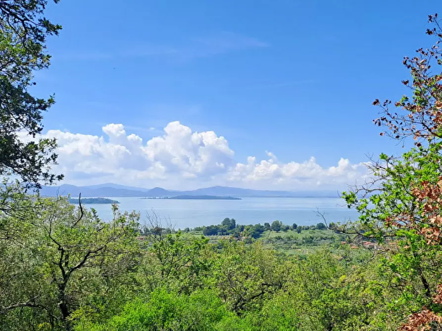Immagine 2 di Villa in vendita  a Passignano Sul Trasimeno