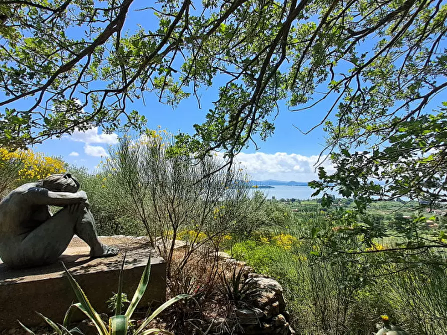 Immagine 3 di Villa in vendita  a Passignano Sul Trasimeno
