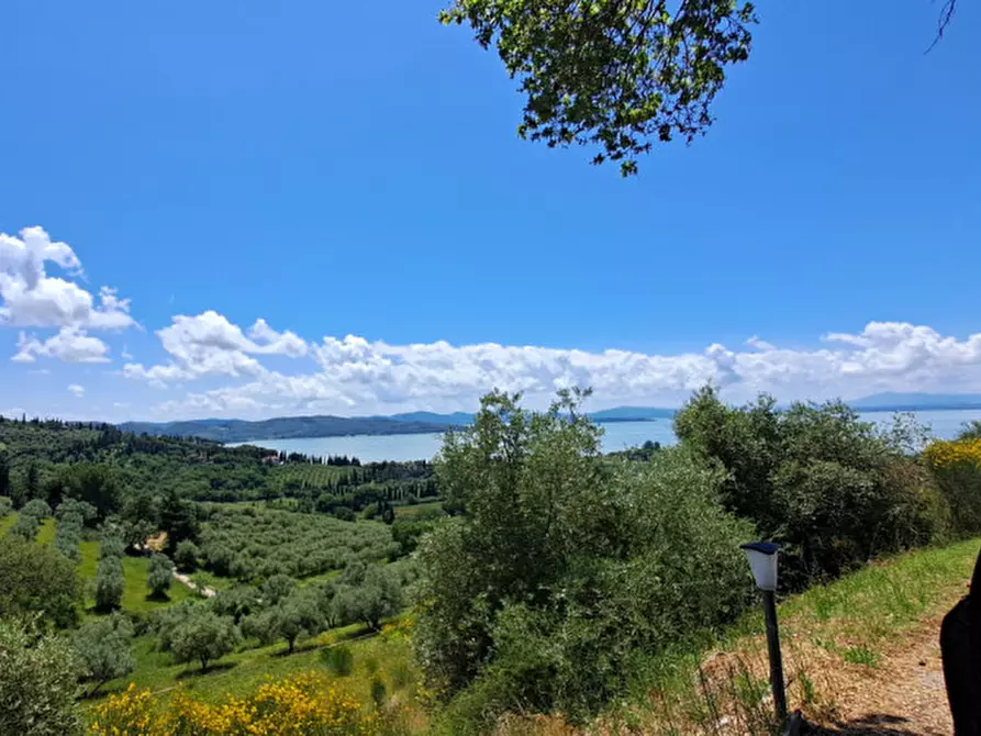 Immagine 12 di Villa in vendita  a Passignano Sul Trasimeno
