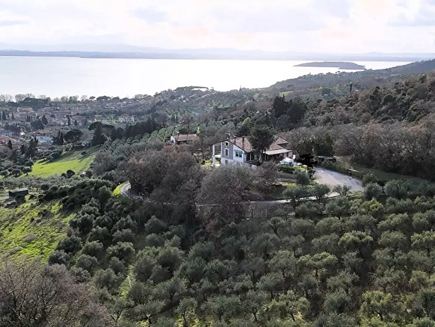 Immagine 13 di Villa in vendita  a Passignano Sul Trasimeno