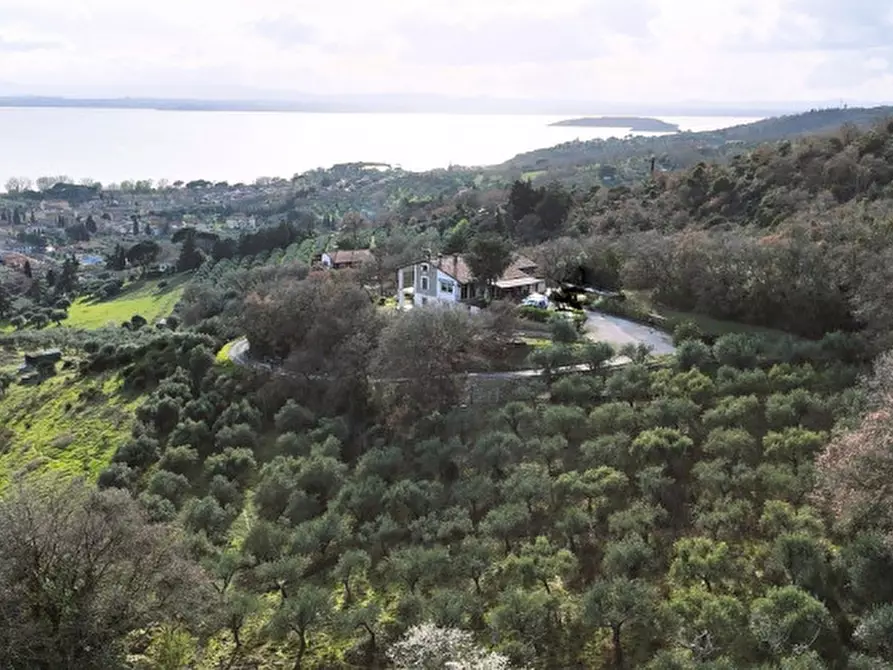 Immagine 14 di Villa in vendita  a Passignano Sul Trasimeno