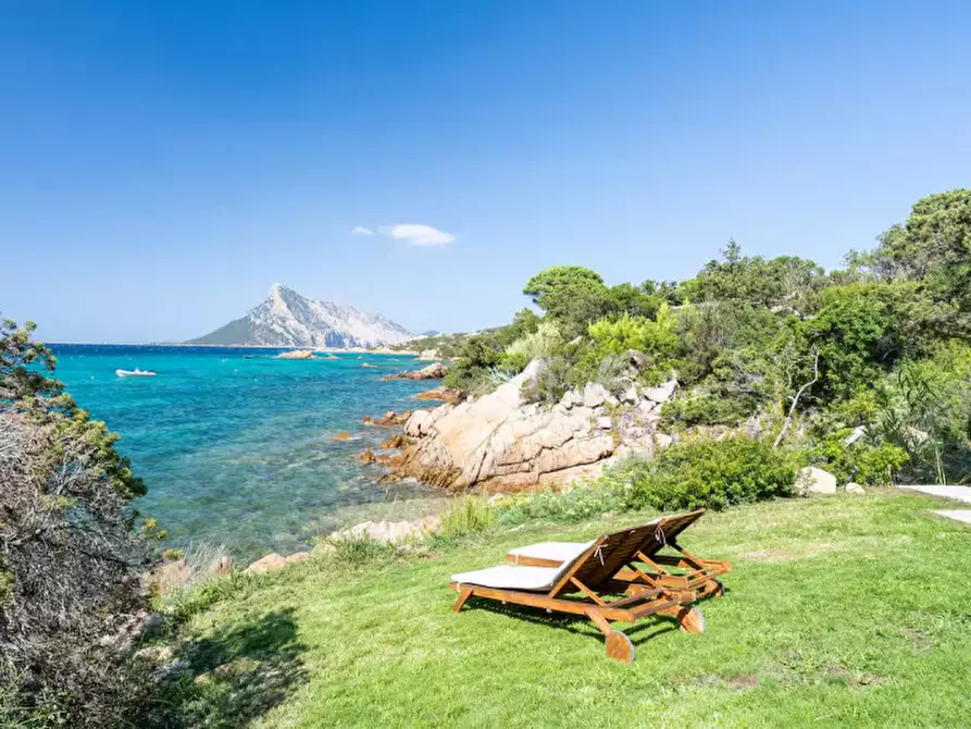Immagine 1 di Villa in vendita  in Via Cala Girgolu a San Teodoro