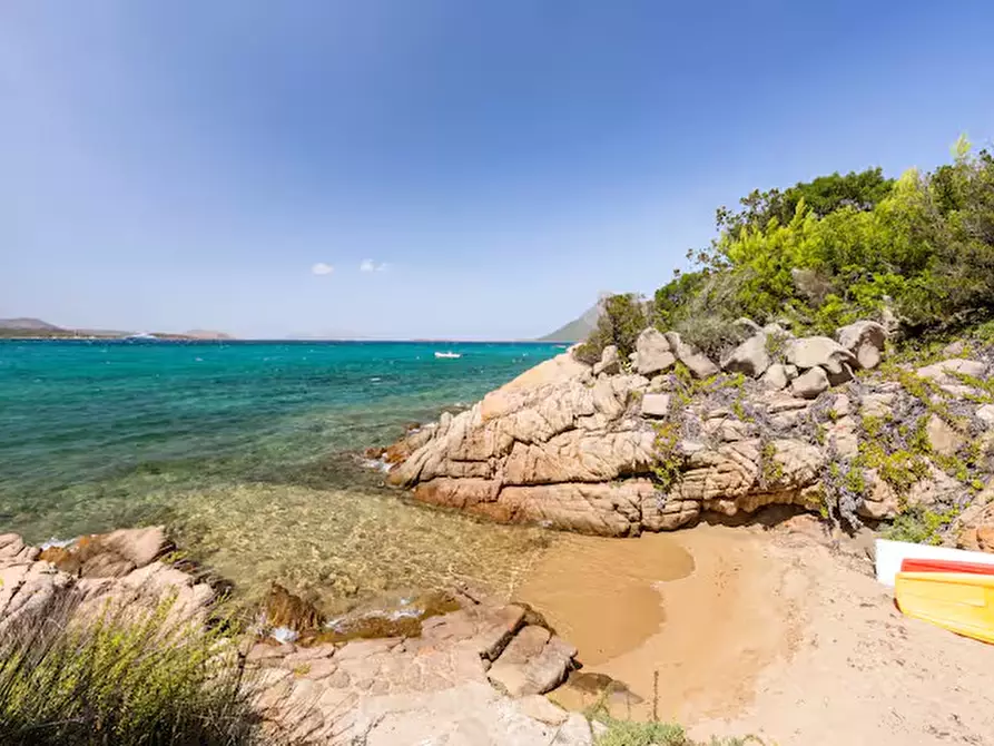 Immagine 24 di Villa in vendita  in Via Cala Girgolu a San Teodoro