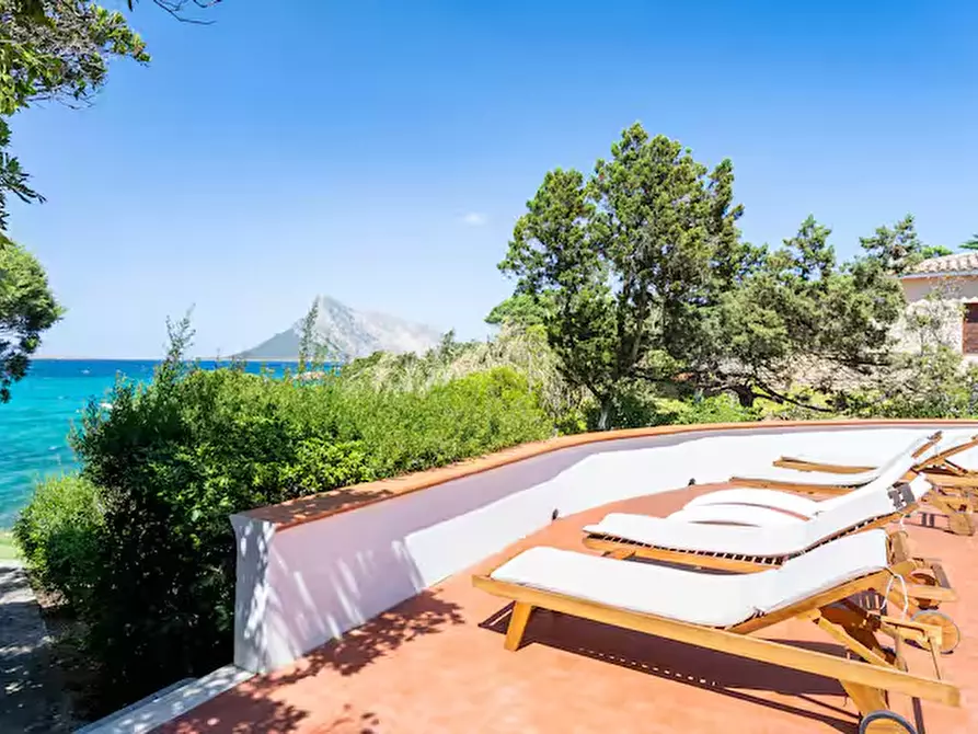 Immagine 29 di Villa in vendita  in Via Cala Girgolu a San Teodoro