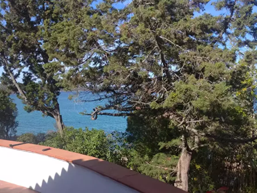 Immagine 30 di Villa in vendita  in Via Cala Girgolu a San Teodoro