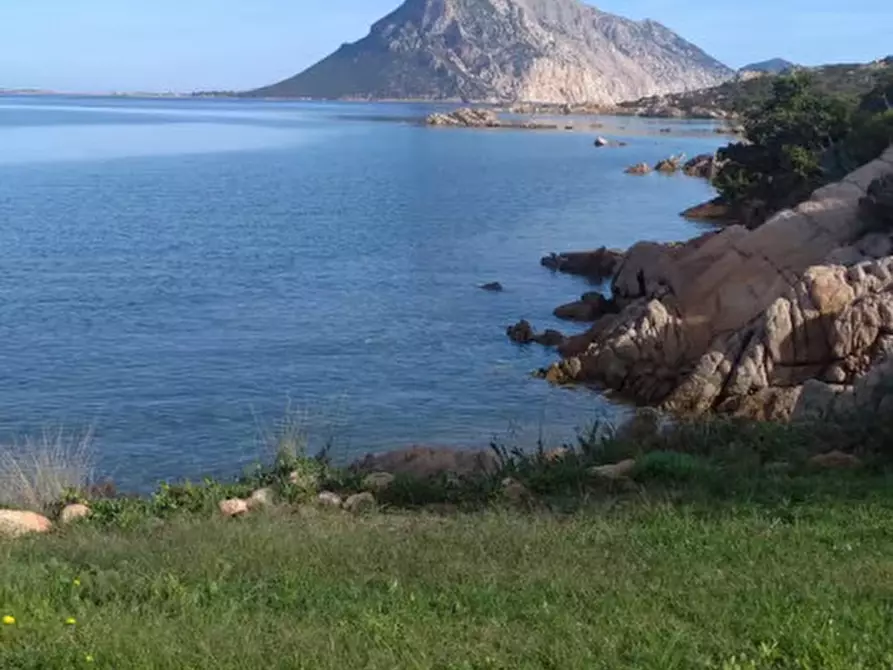 Immagine 31 di Villa in vendita  in Via Cala Girgolu a San Teodoro