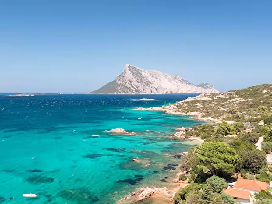 Immagine 33 di Villa in vendita  in Via Cala Girgolu a San Teodoro