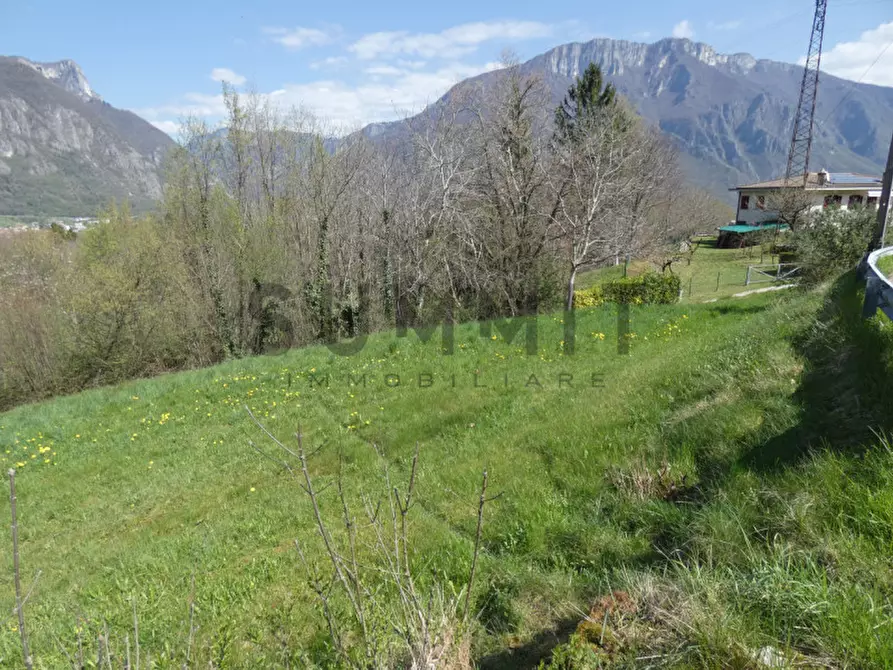 Immagine 4 di Terreno in vendita  a Velo D'astico