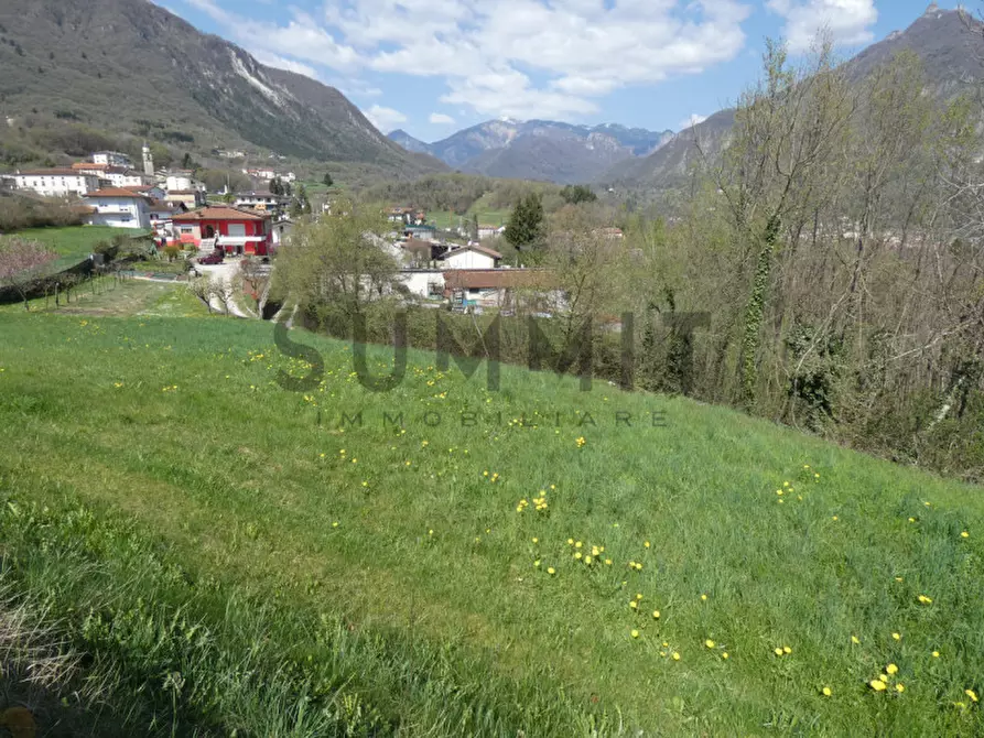 Immagine 6 di Terreno in vendita  a Velo D'astico