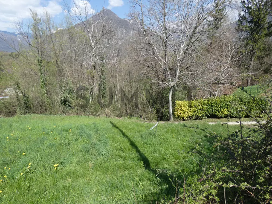 Immagine 12 di Terreno in vendita  a Velo D'astico