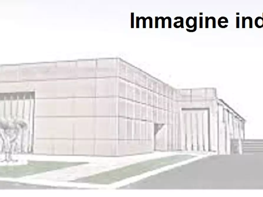 Immagine 1 di Capannone industriale in vendita  a Rossano Veneto