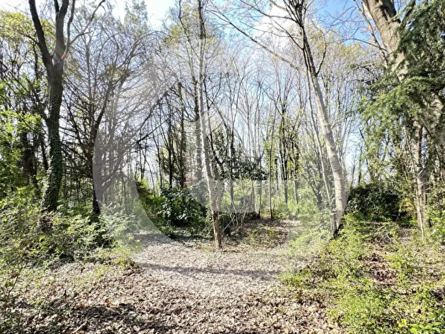 Immagine 6 di Terreno in vendita  a Borgoricco