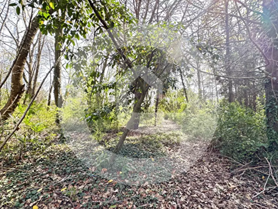 Immagine 7 di Terreno in vendita  a Borgoricco