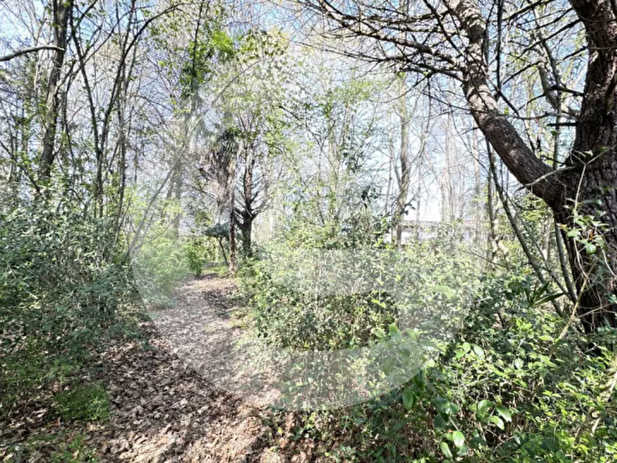 Immagine 8 di Terreno in vendita  a Borgoricco