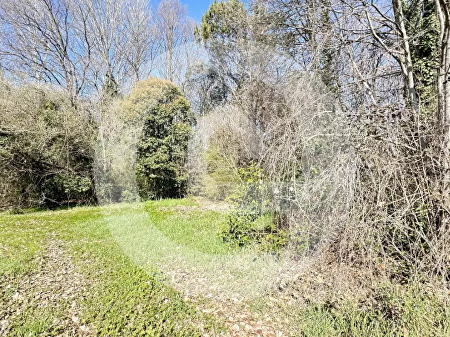 Immagine 9 di Terreno in vendita  a Borgoricco