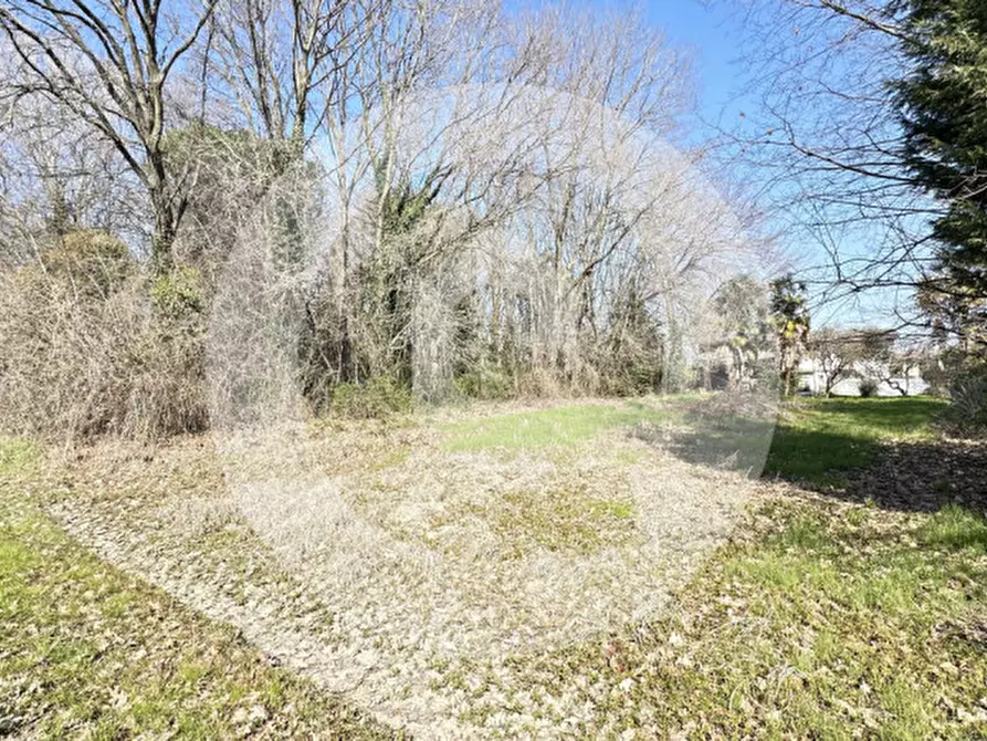 Immagine 10 di Terreno in vendita  a Borgoricco