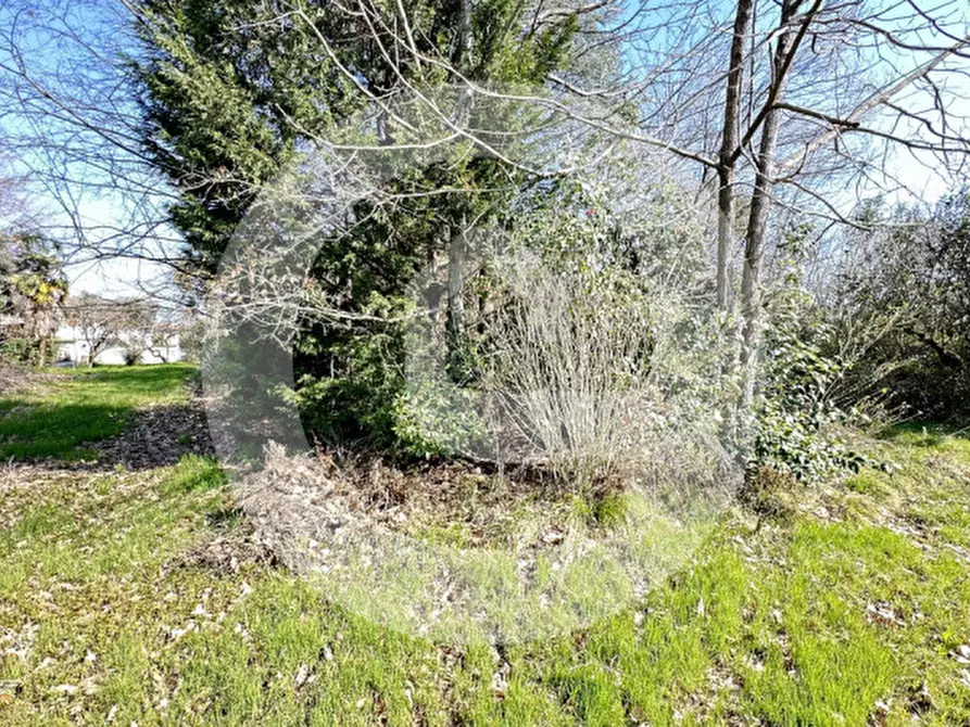 Immagine 11 di Terreno in vendita  a Borgoricco