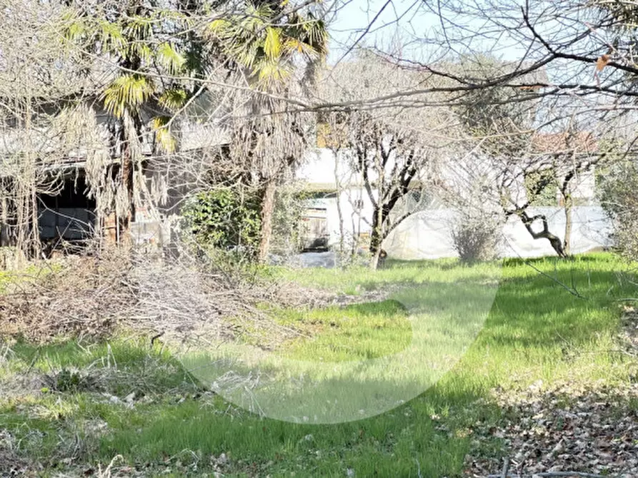 Immagine 12 di Terreno in vendita  a Borgoricco