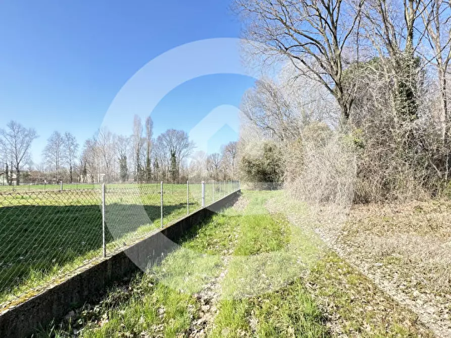 Immagine 13 di Terreno in vendita  a Borgoricco