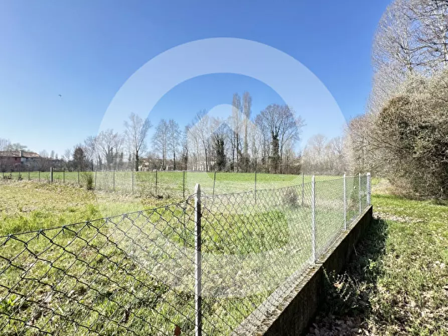 Immagine 14 di Terreno in vendita  a Borgoricco