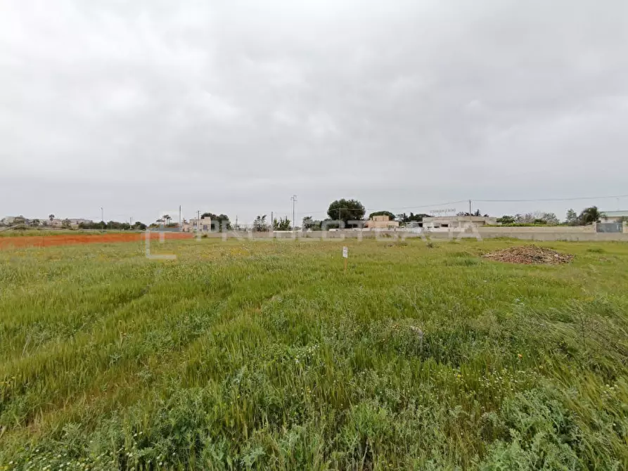 Immagine 2 di Terreno in vendita  in località Tortora a Scorrano