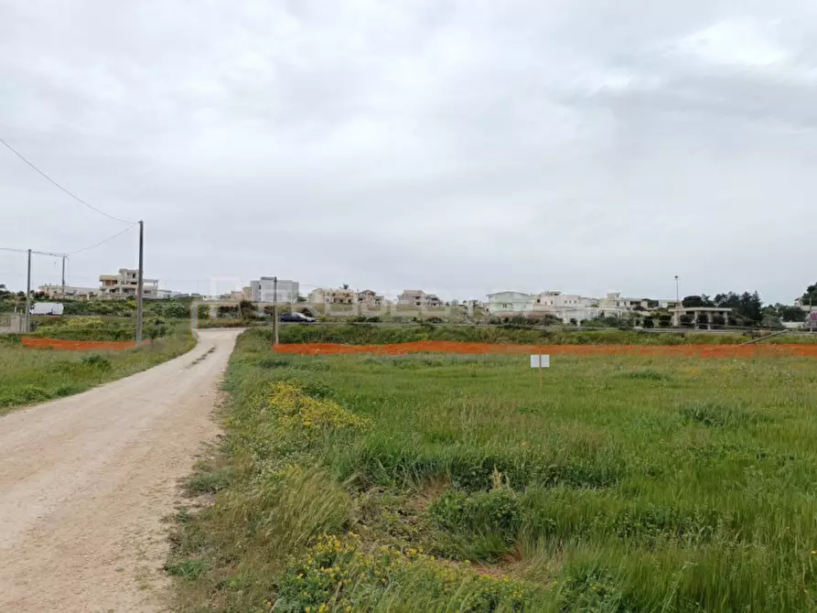 Immagine 4 di Terreno in vendita  in località Tortora a Scorrano