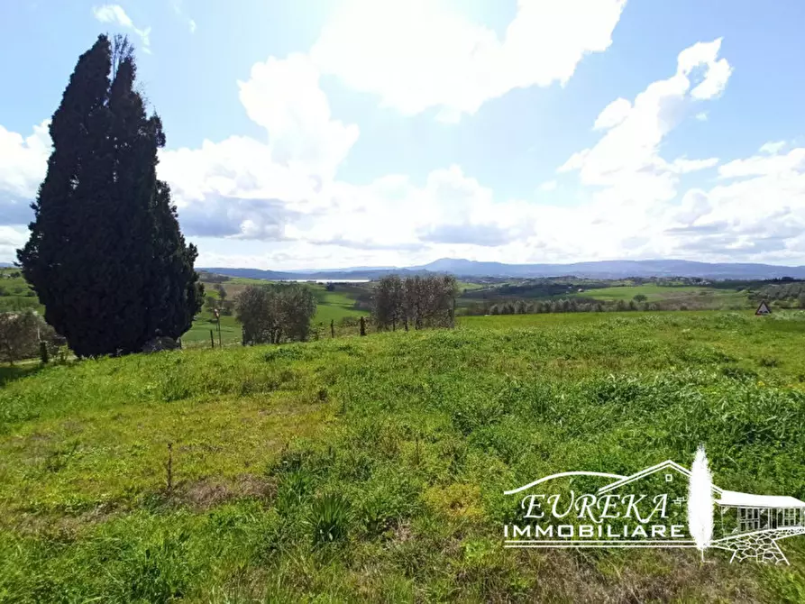Immagine 35 di Appartamento in vendita  in gioiella a Castiglione Del Lago