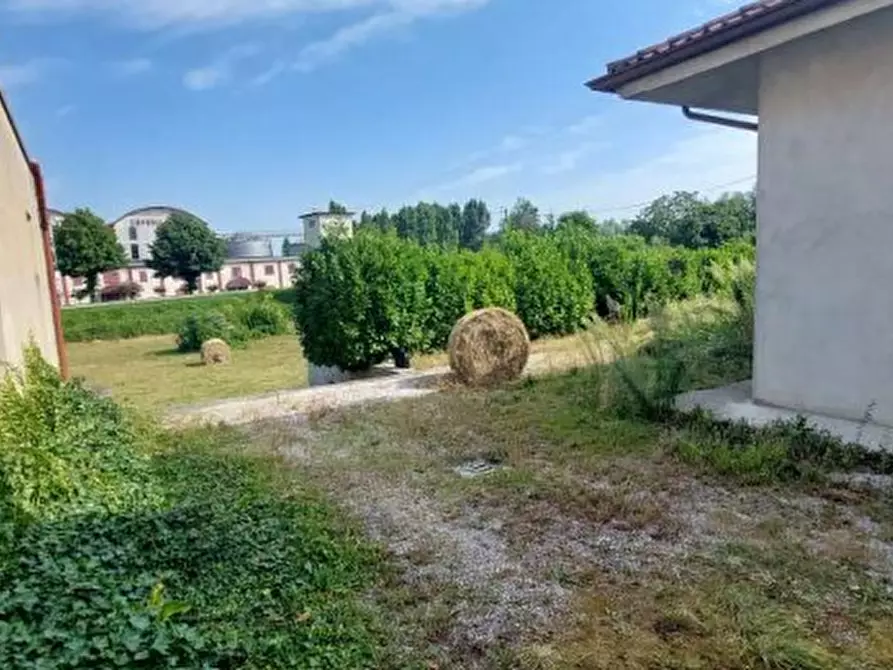 Immagine 4 di Terreno in vendita  in Strada Regionale 43 a Musile Di Piave